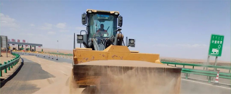 女人与公狍交酡女免费