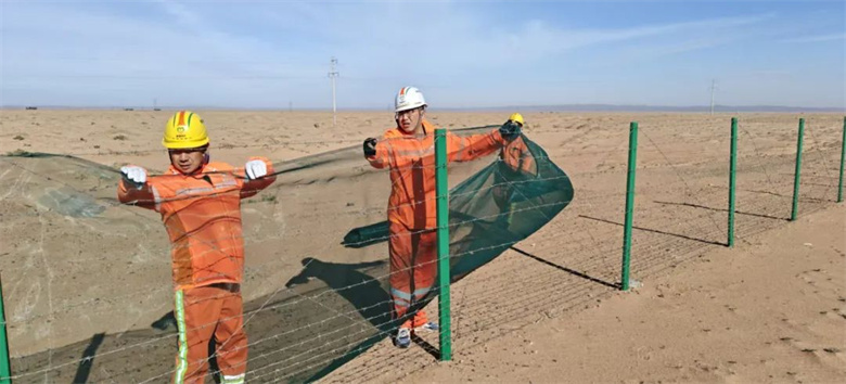 女人与公狍交酡女免费