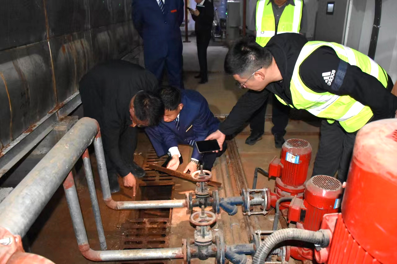 女人与公狍交酡女免费