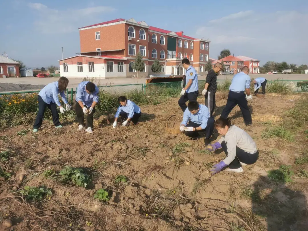 女人与公狍交酡女免费