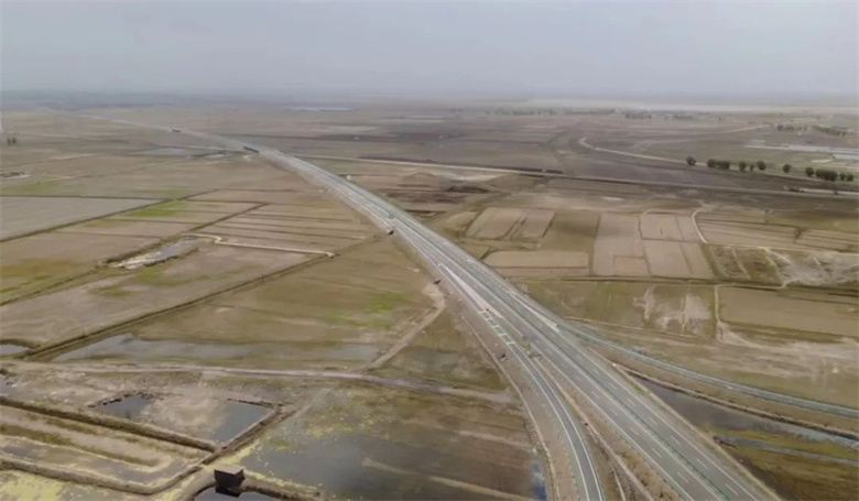 女人与公狍交酡女免费