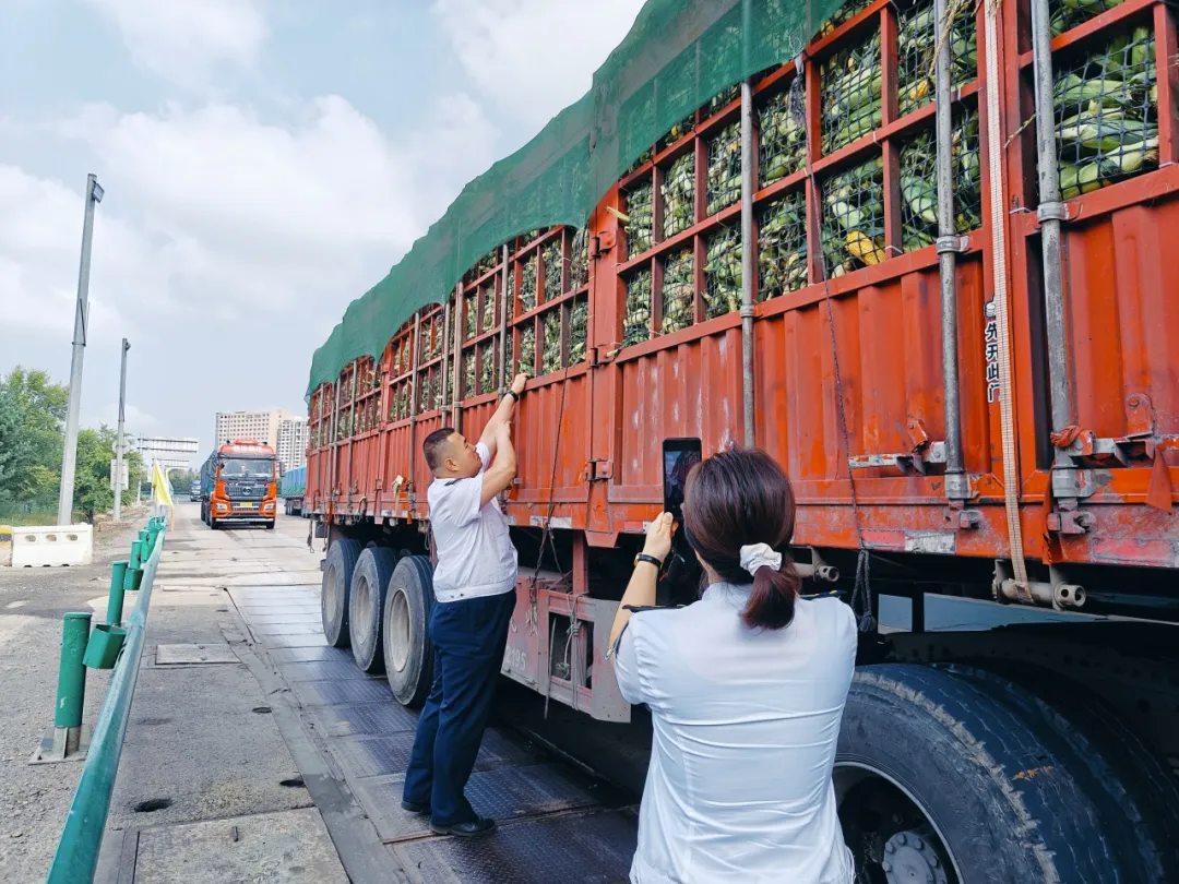女人与公狍交酡女免费