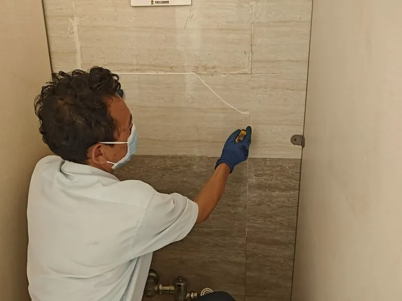 女人与公狍交酡女免费