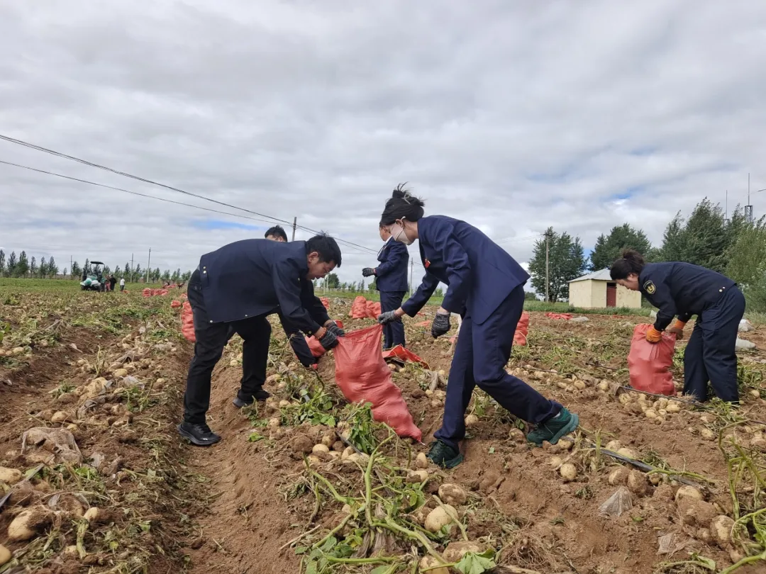 女人与公狍交酡女免费