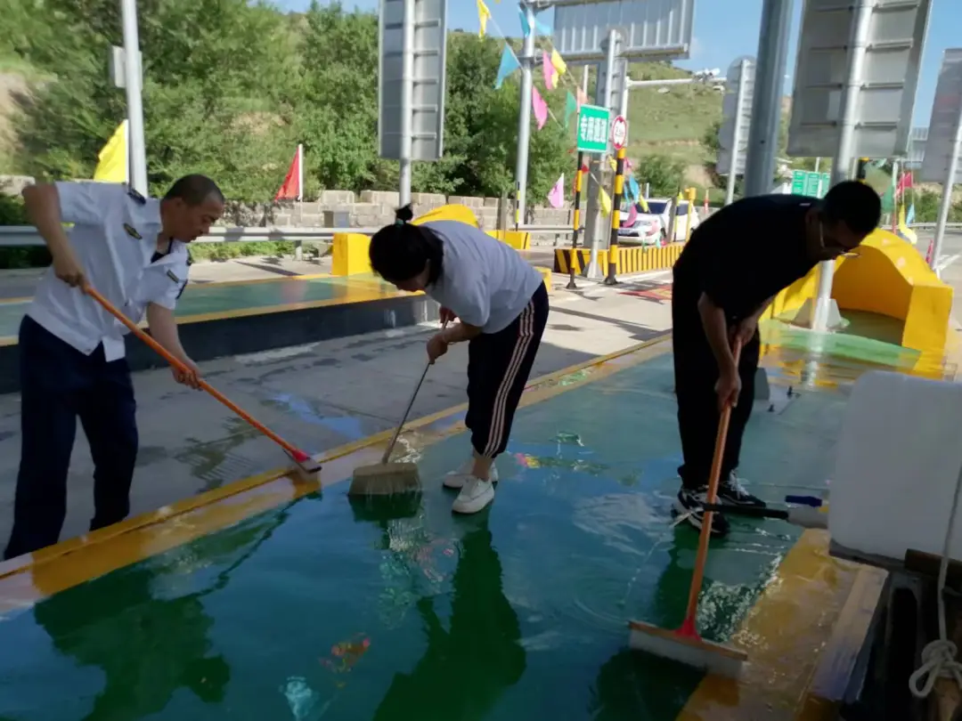 女人与公狍交酡女免费