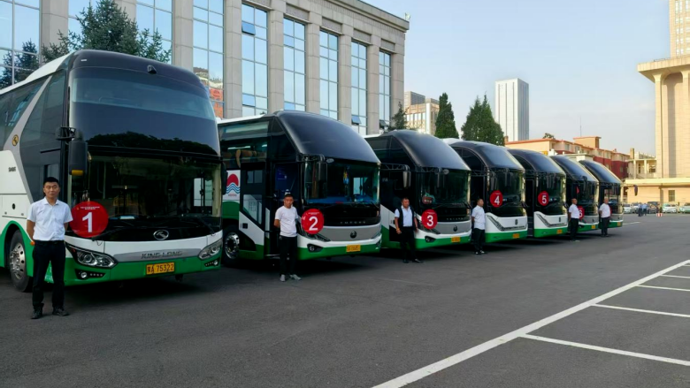 女人与公狍交酡女免费