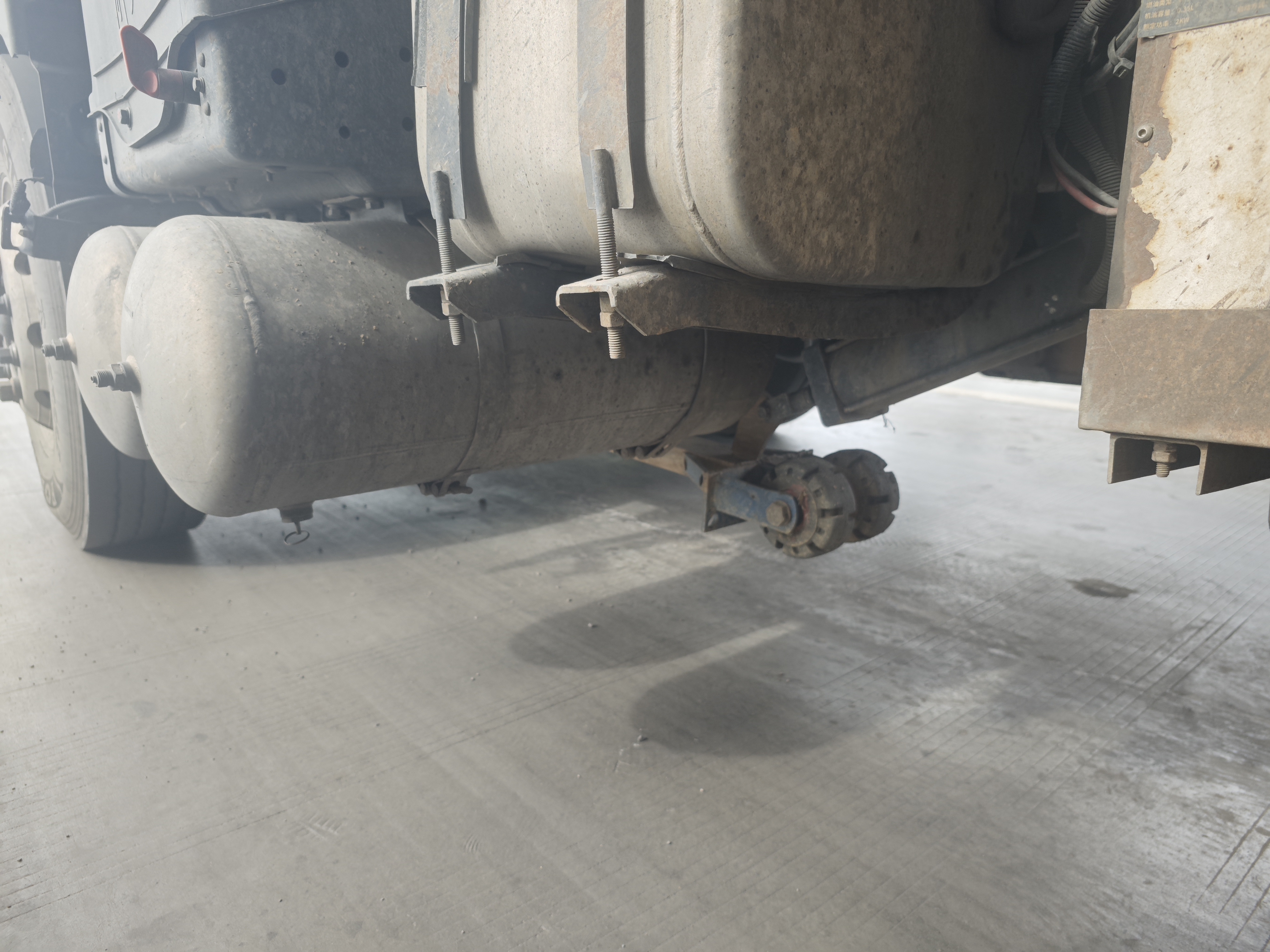 女人与公狍交酡女免费