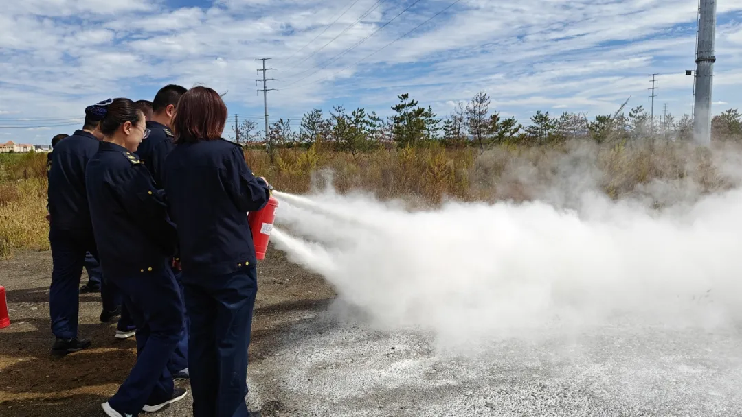 女人与公狍交酡女免费