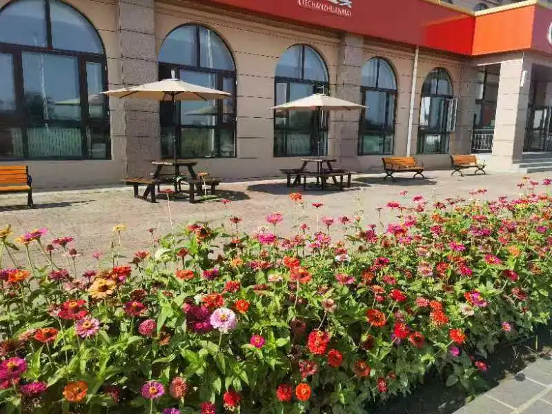 女人与公狍交酡女免费