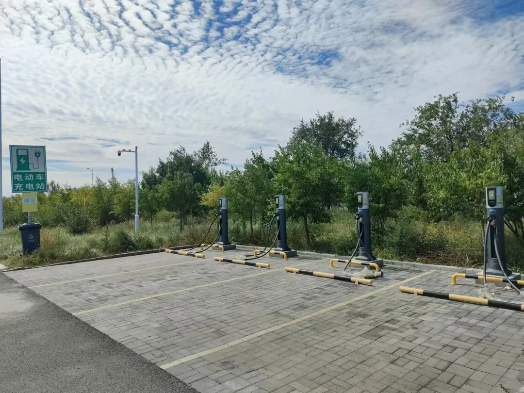 女人与公狍交酡女免费