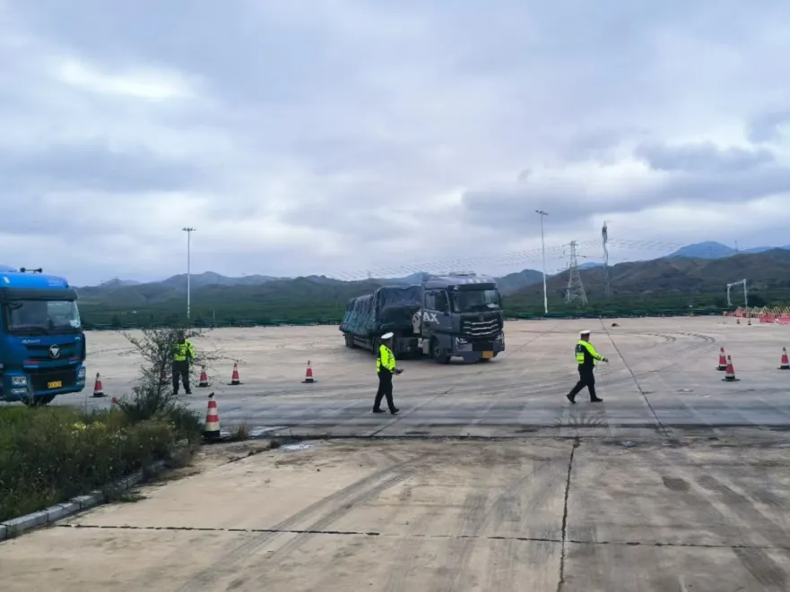 女人与公狍交酡女免费