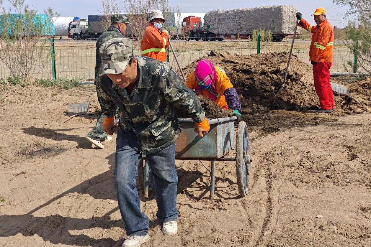 女人与公狍交酡女免费