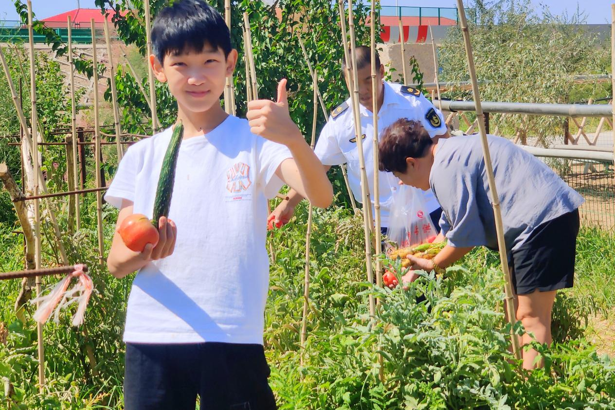 女人与公狍交酡女免费