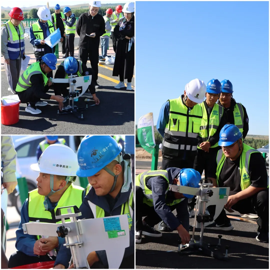 女人与公狍交酡女免费