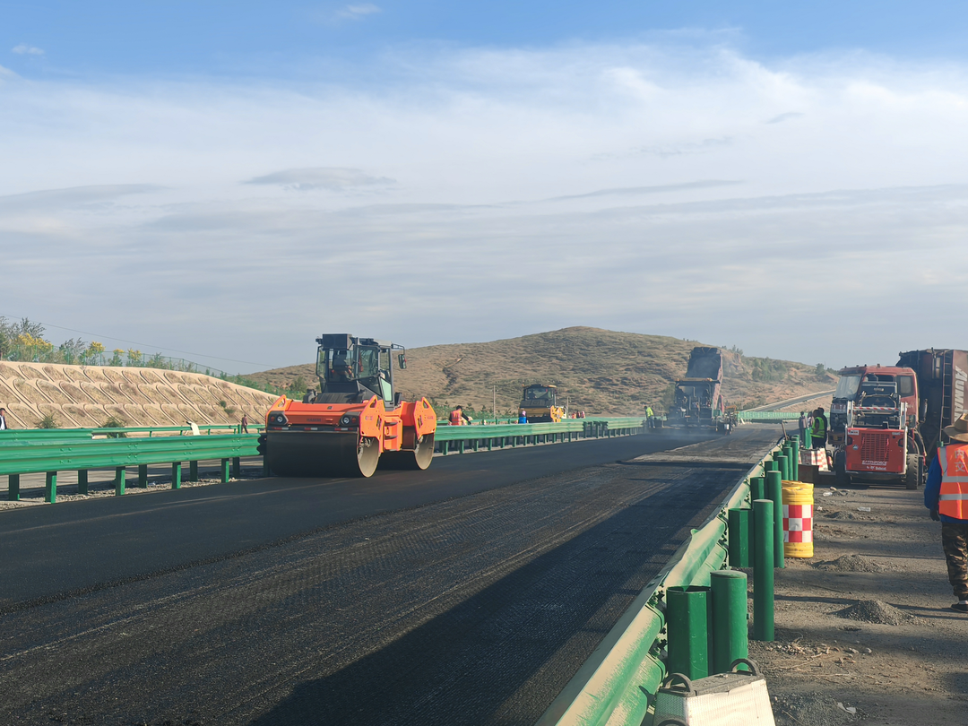 女人与公狍交酡女免费