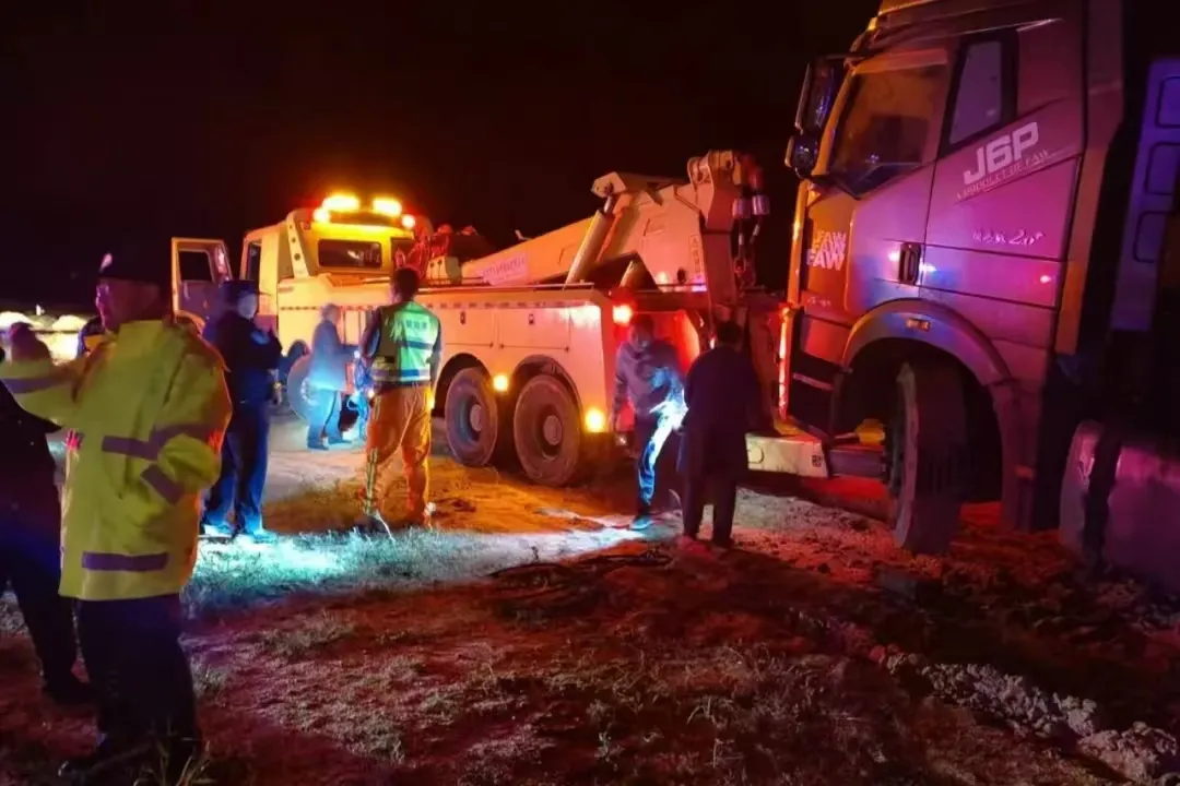 女人与公狍交酡女免费