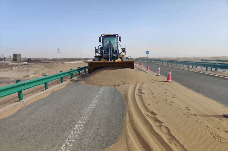 女人与公狍交酡女免费