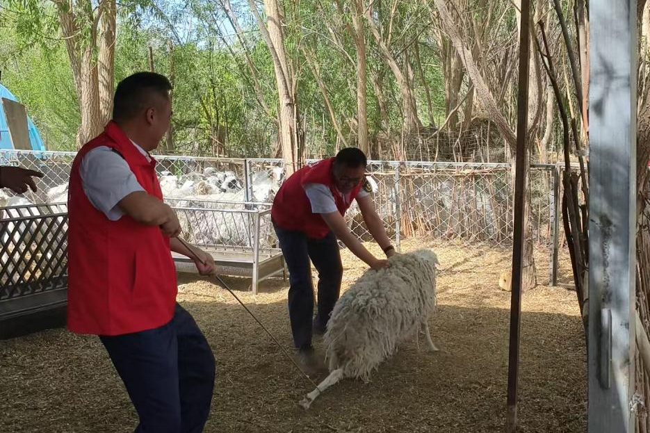女人与公狍交酡女免费