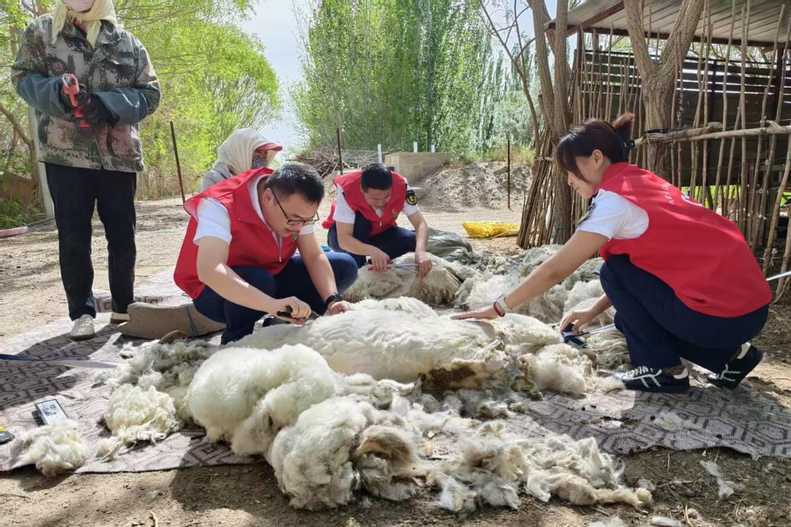 女人与公狍交酡女免费