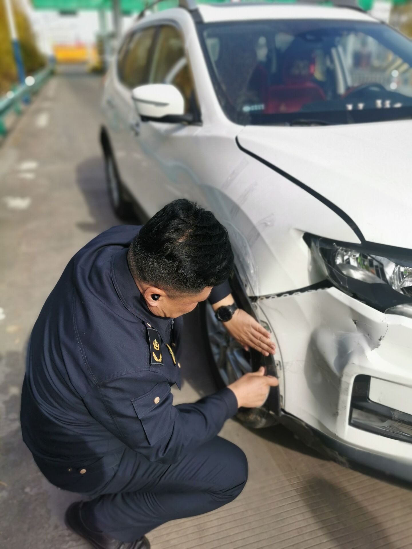 女人与公狍交酡女免费