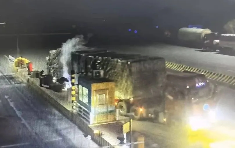 女人与公狍交酡女免费