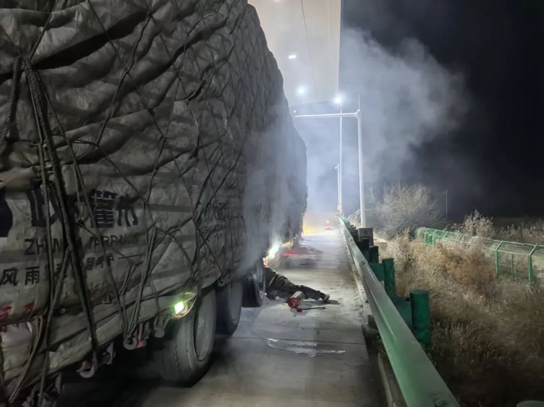 女人与公狍交酡女免费