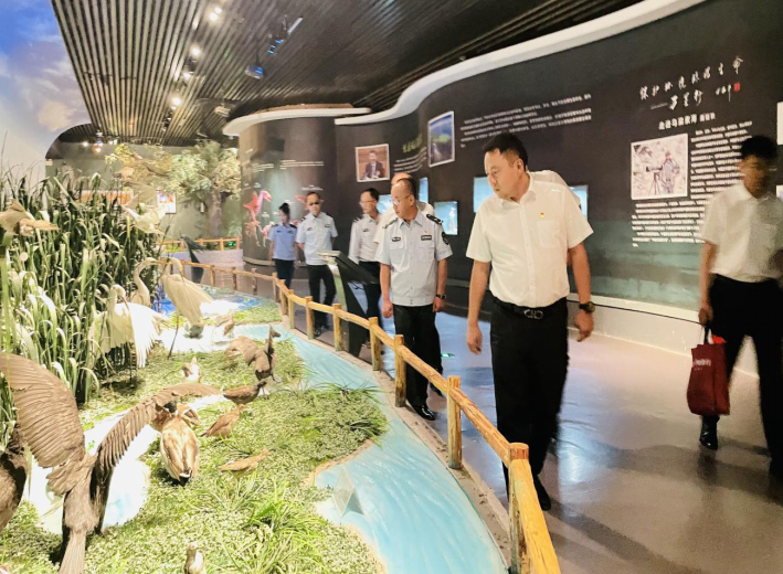 女人与公狍交酡女免费