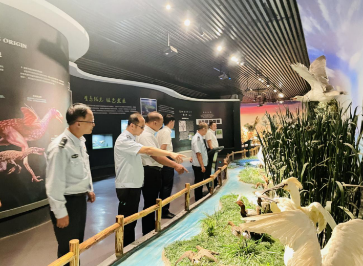 女人与公狍交酡女免费