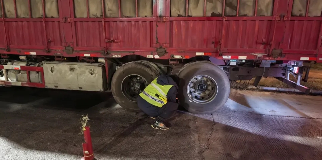 女人与公狍交酡女免费