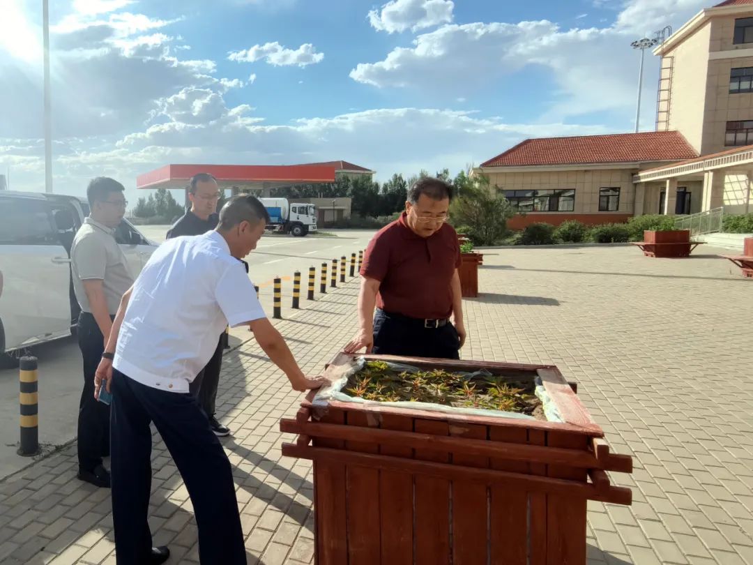 女人与公狍交酡女免费