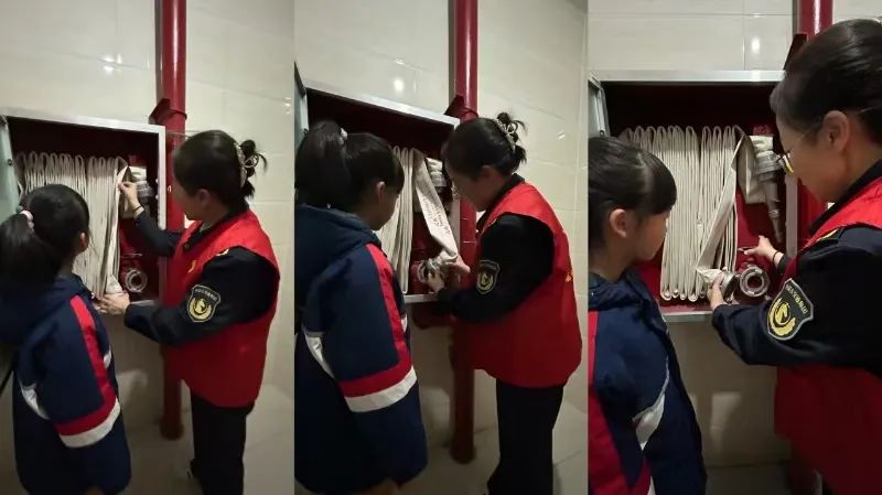 女人与公狍交酡女免费