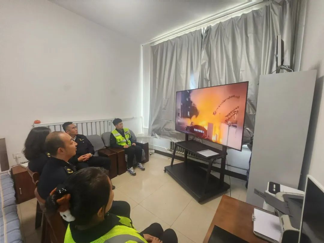 女人与公狍交酡女免费