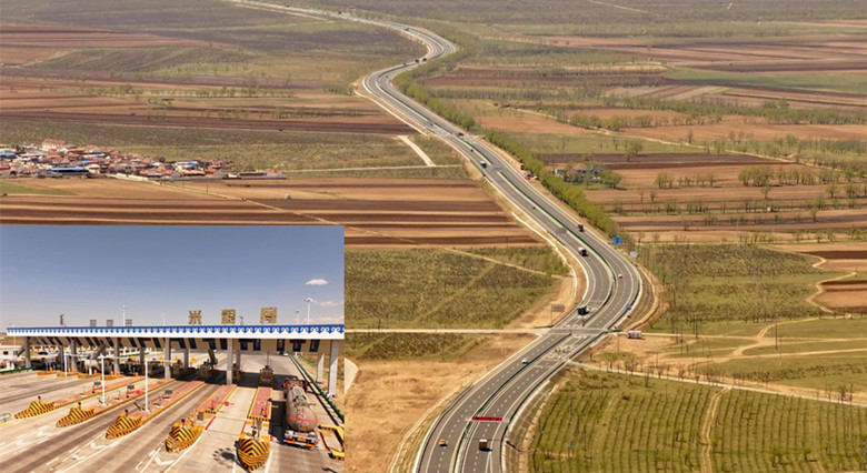 女人与公狍交酡女免费