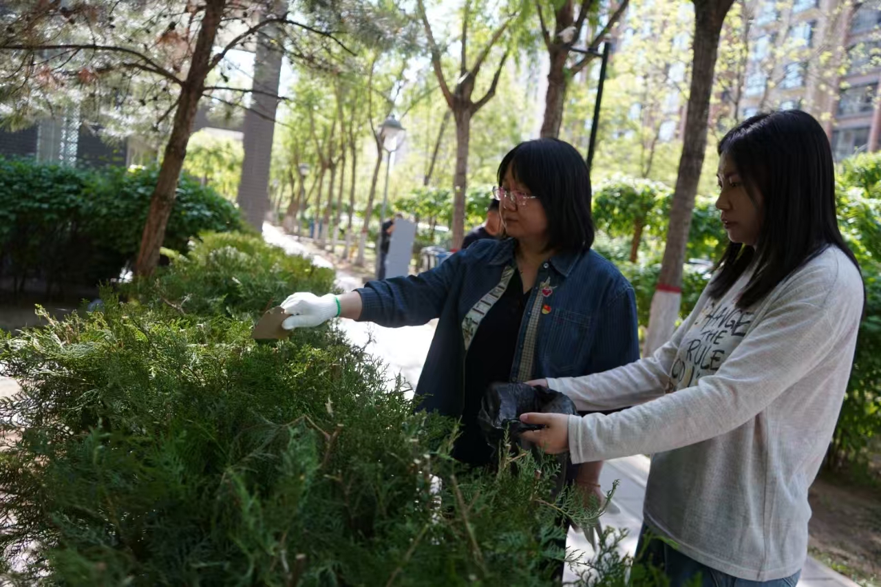 女人与公狍交酡女免费