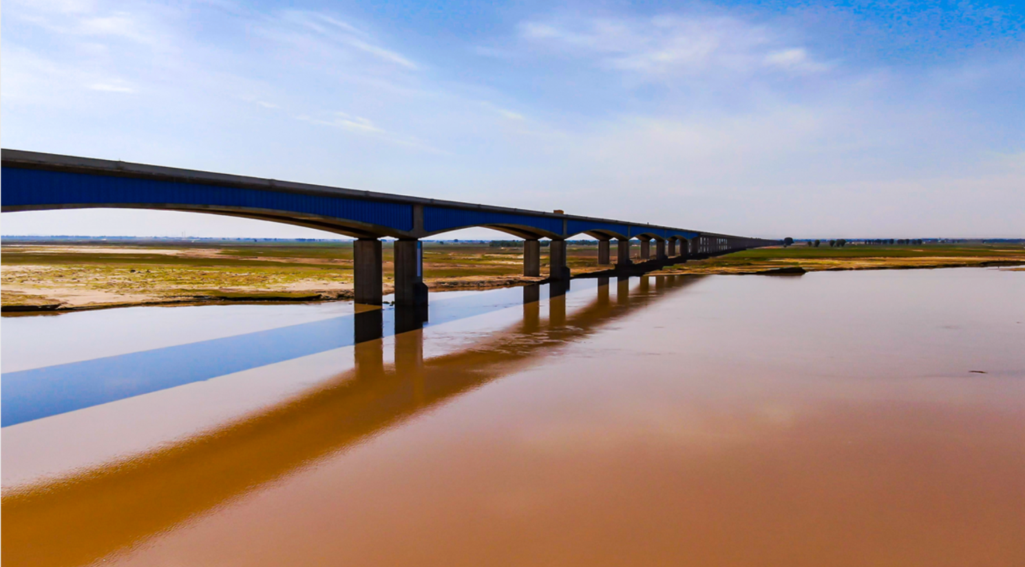 女人与公狍交酡女免费