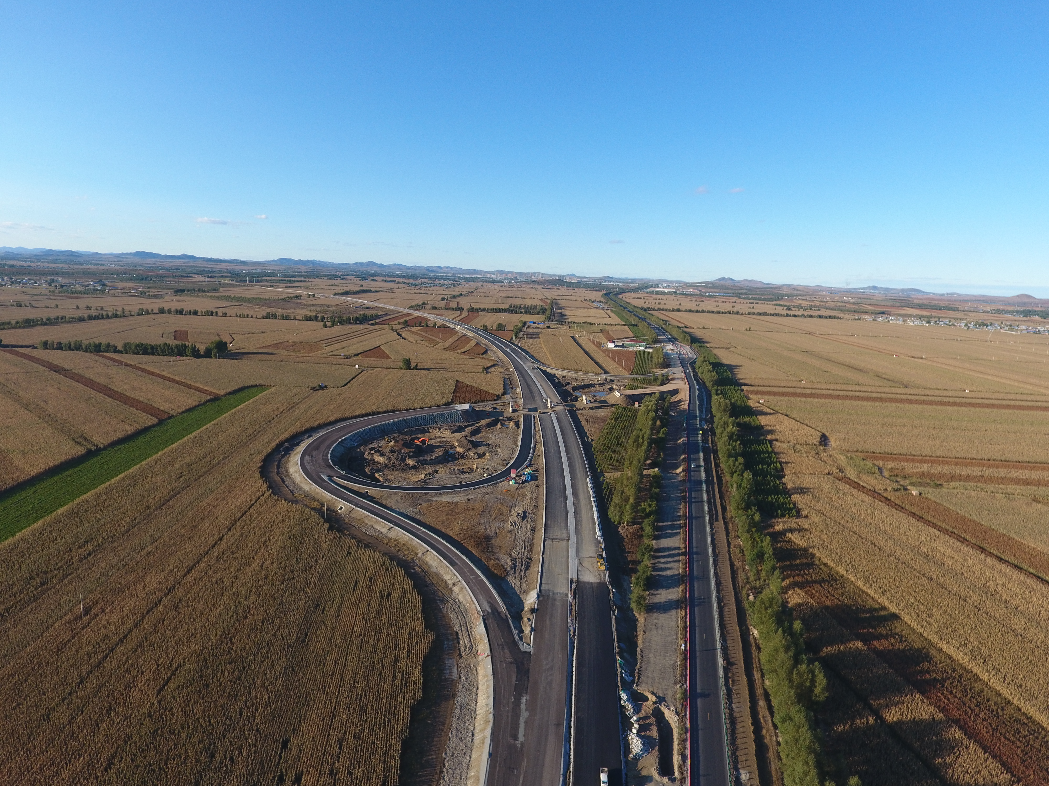 女人与公狍交酡女免费