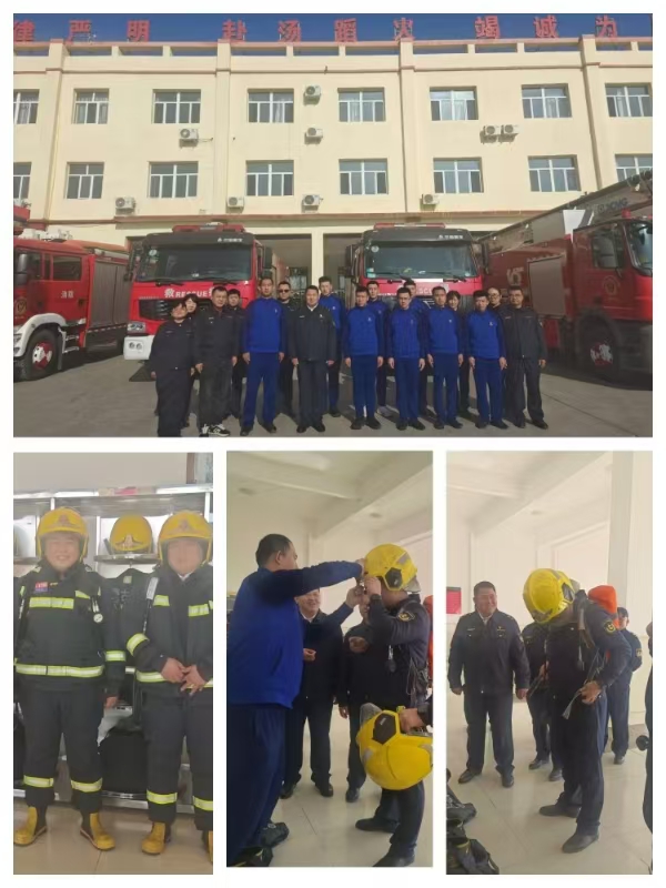 女人与公狍交酡女免费