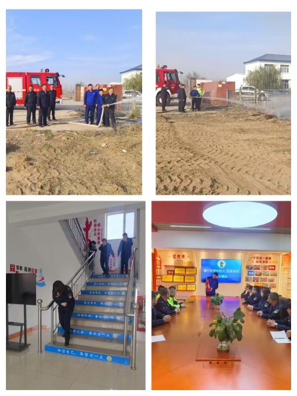 女人与公狍交酡女免费