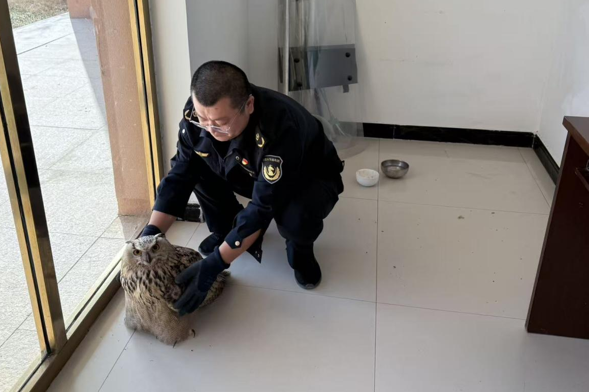 女人与公狍交酡女免费