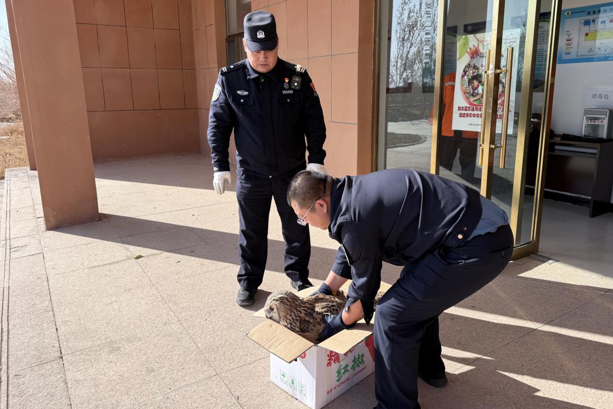 女人与公狍交酡女免费