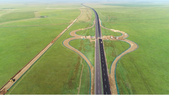 女人与公狍交酡女免费