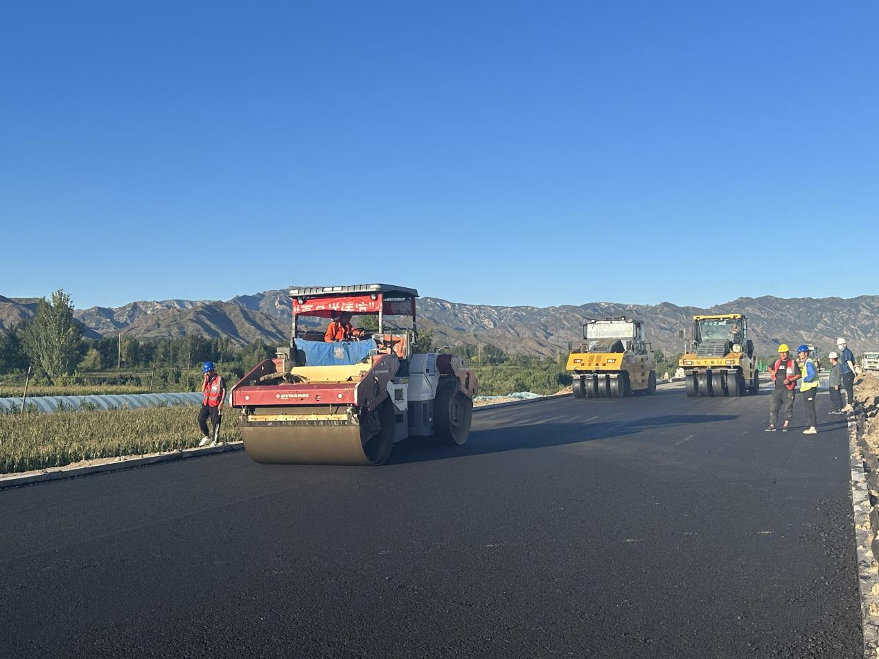 女人与公狍交酡女免费