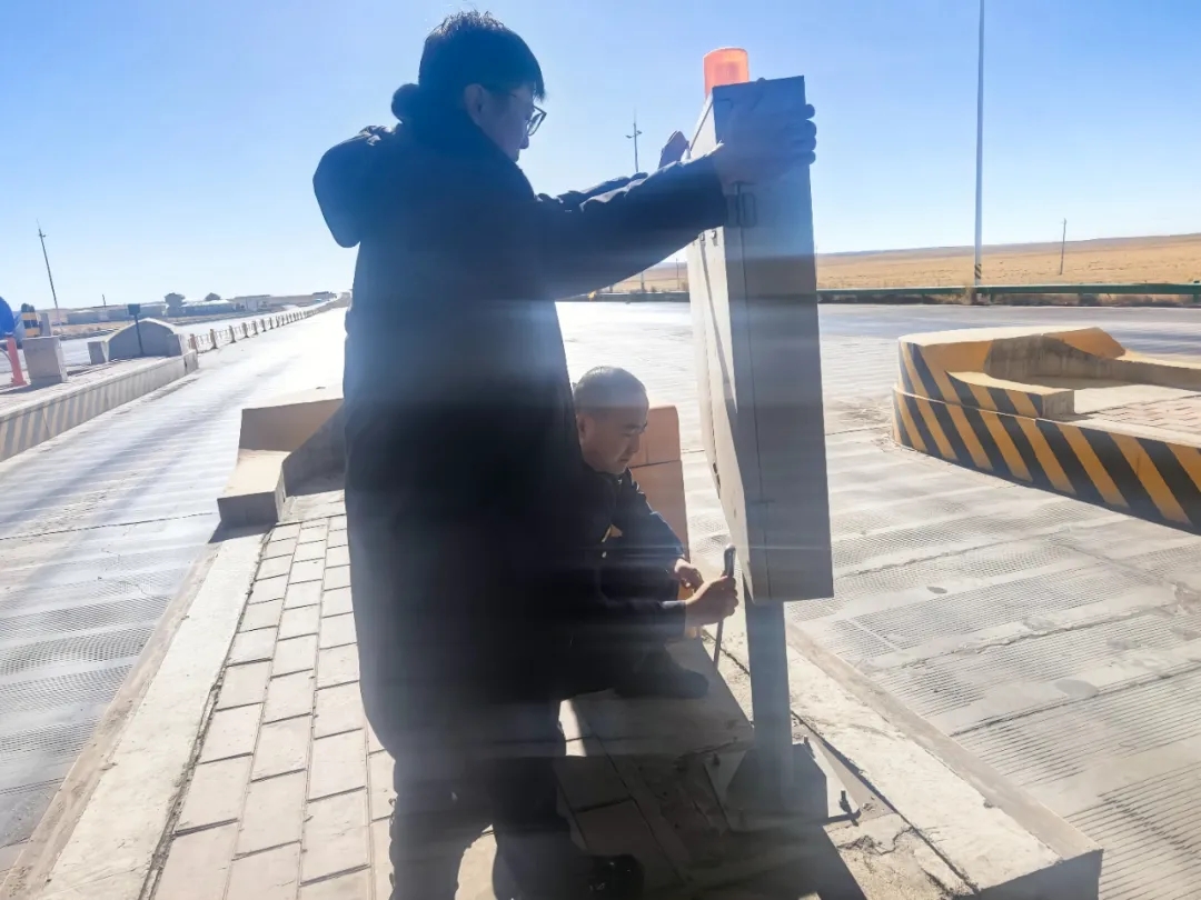 女人与公狍交酡女免费