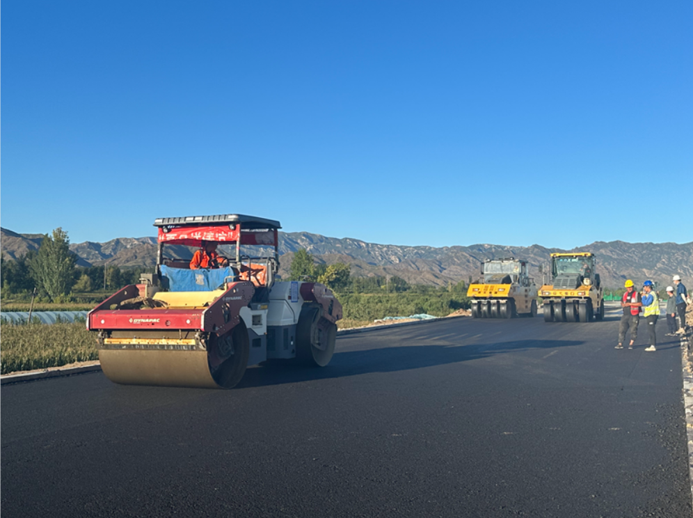 女人与公狍交酡女免费