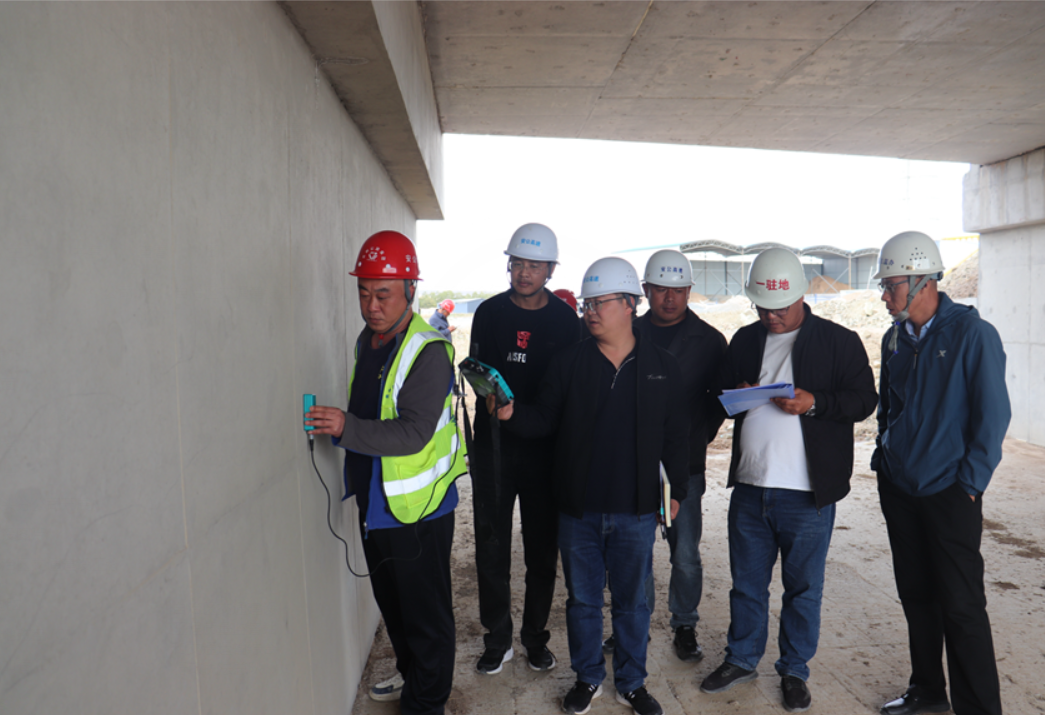 女人与公狍交酡女免费