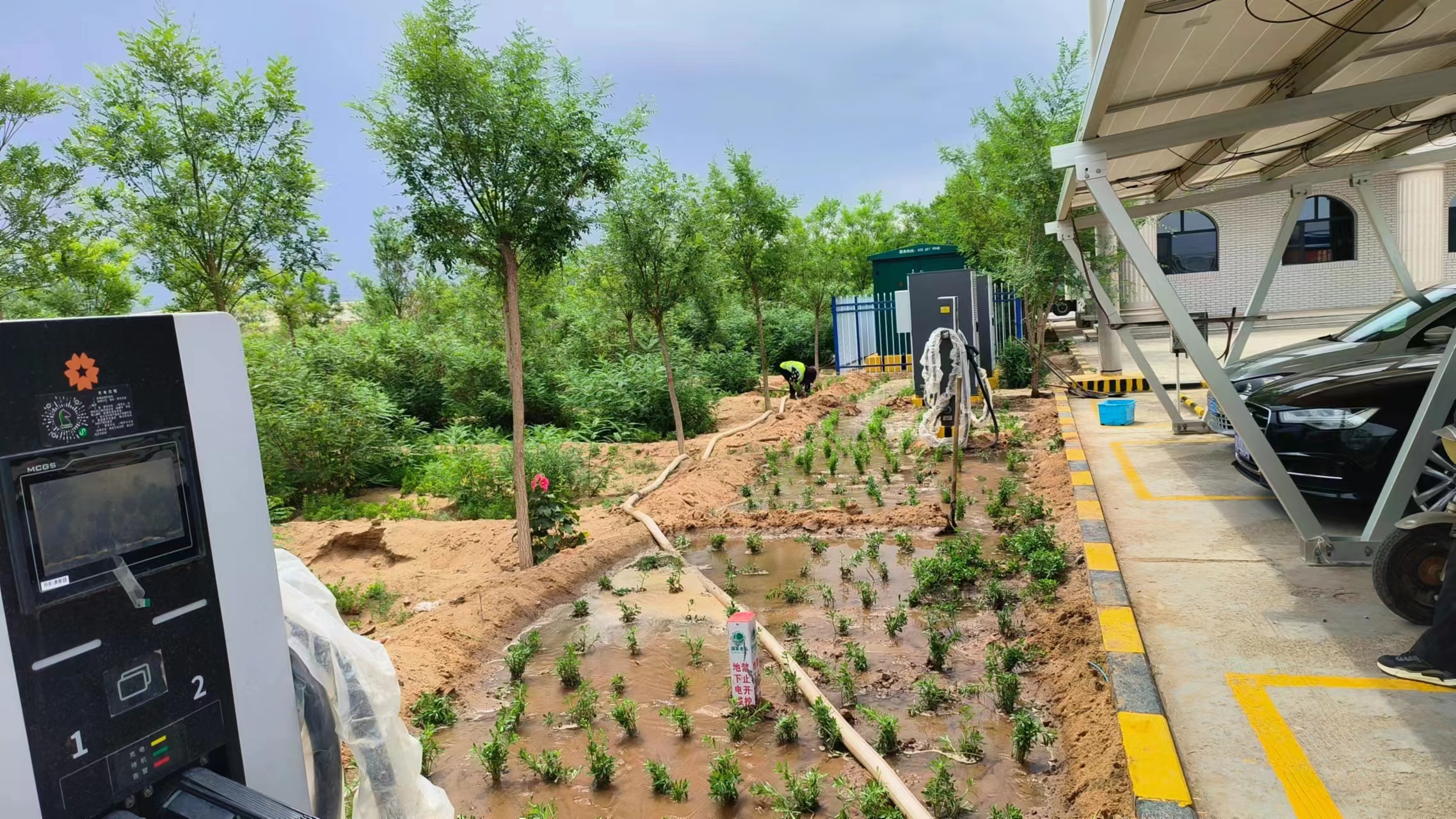 女人与公狍交酡女免费