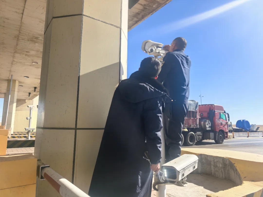 女人与公狍交酡女免费