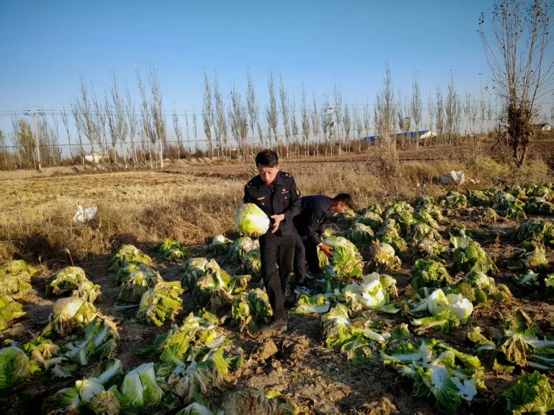 女人与公狍交酡女免费