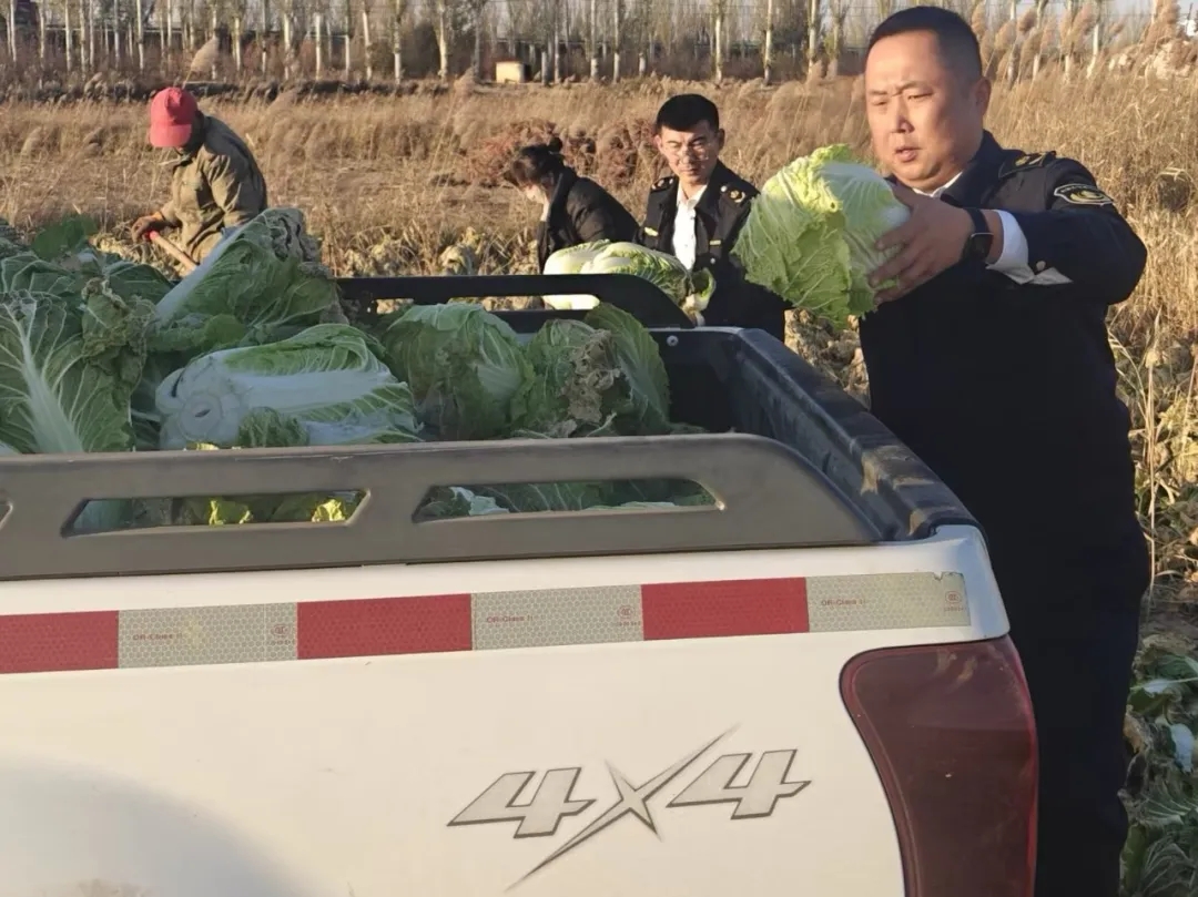 女人与公狍交酡女免费