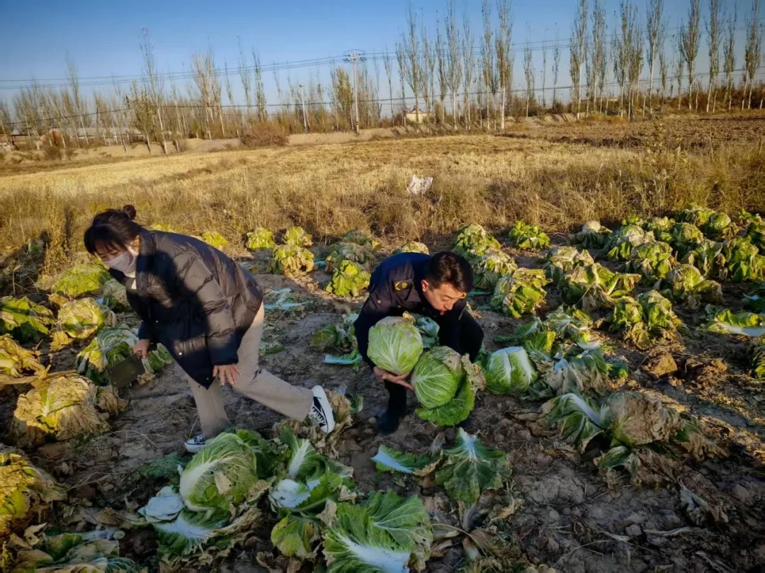女人与公狍交酡女免费